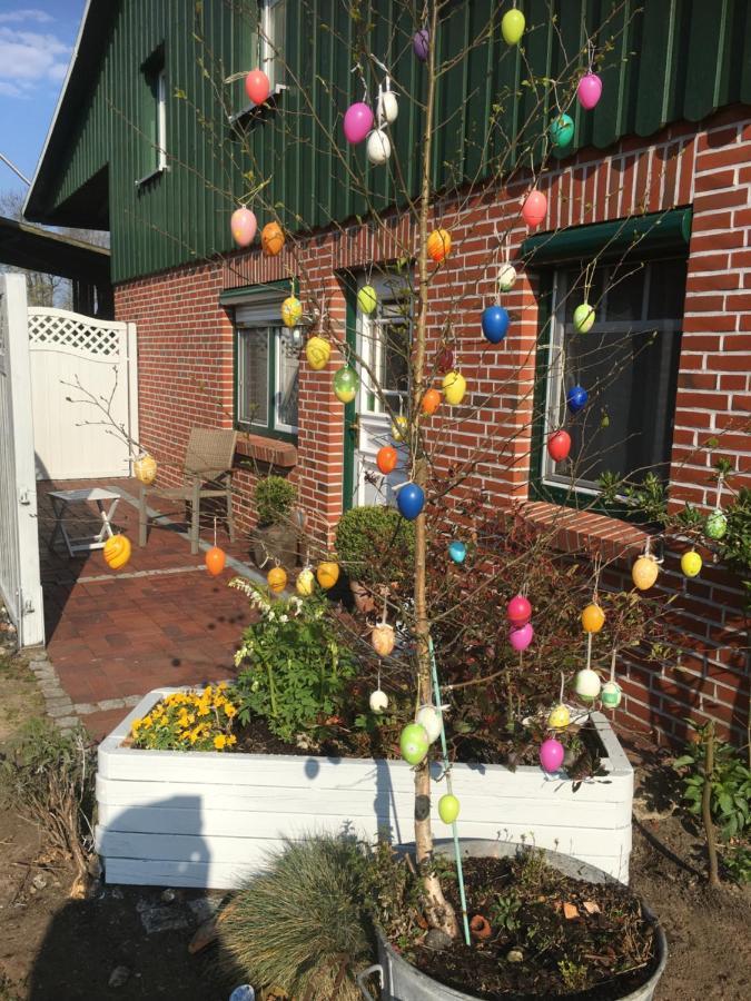 Ferienhaus Staben Eggstedt Exteriör bild